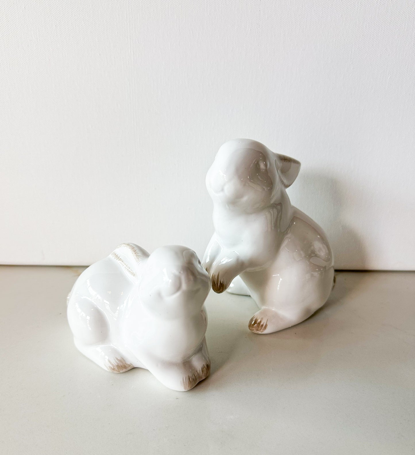 Posing Bunny
