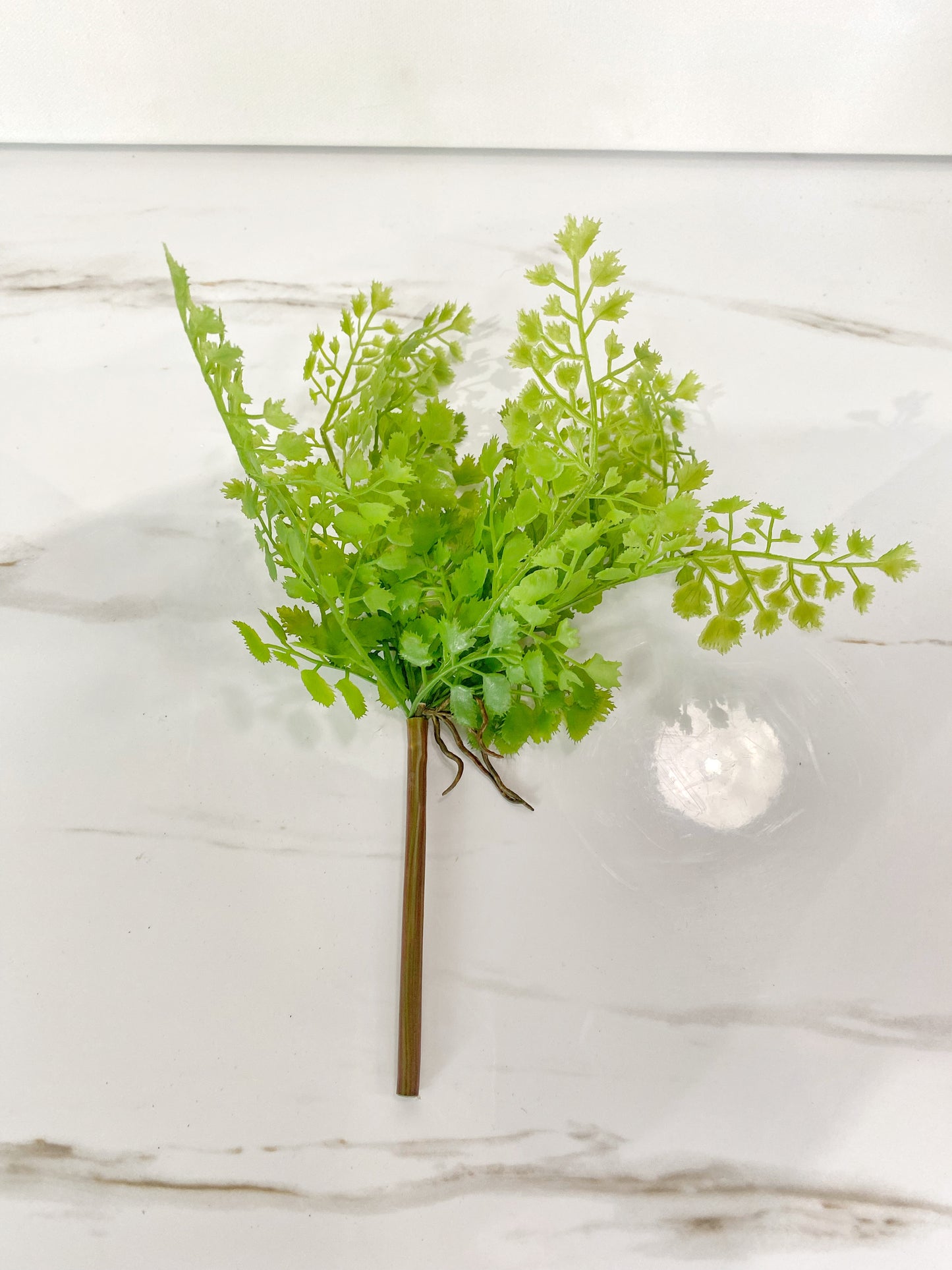 Small Fern Pick