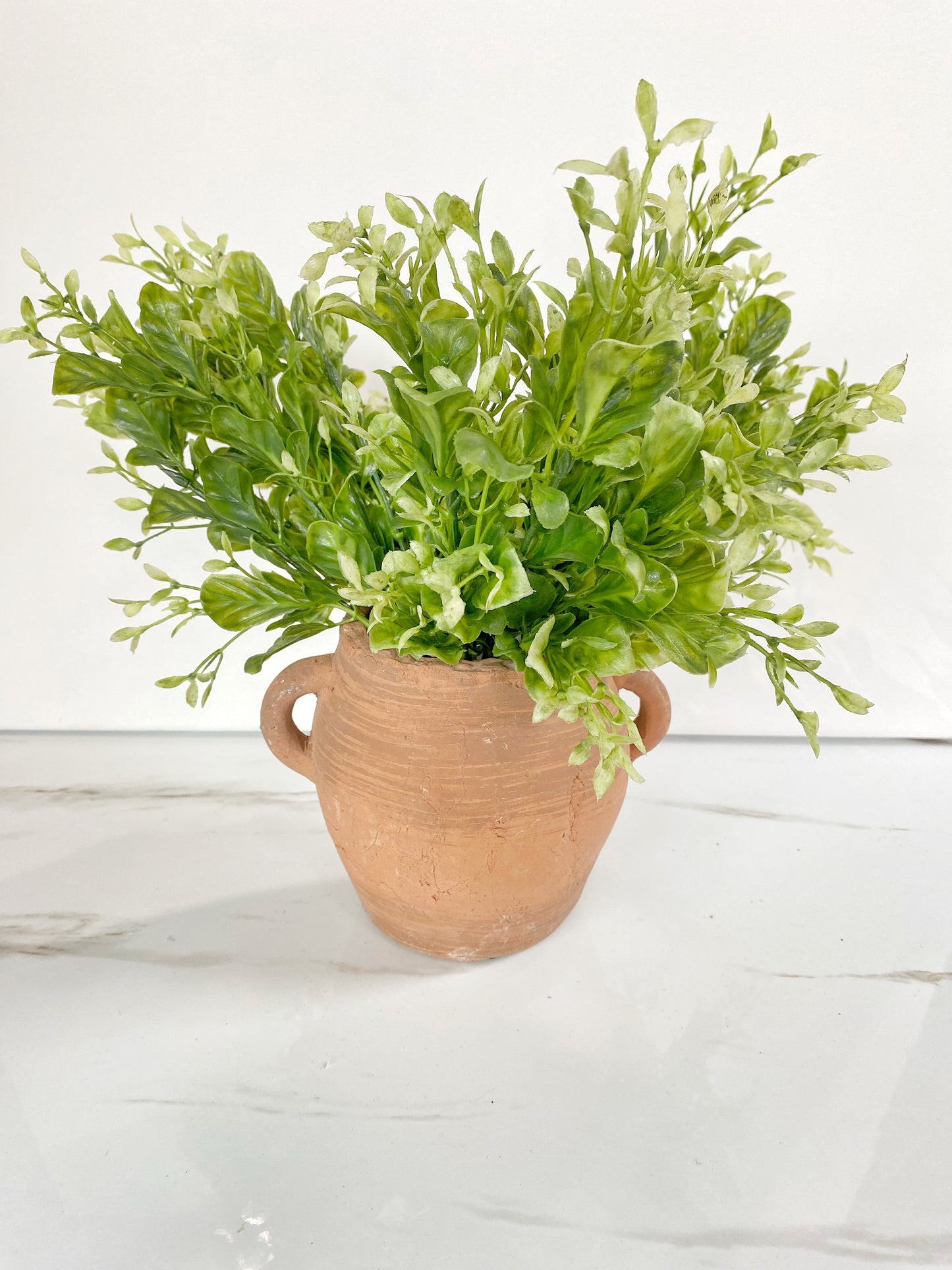 Small Handled Terracotta Pot