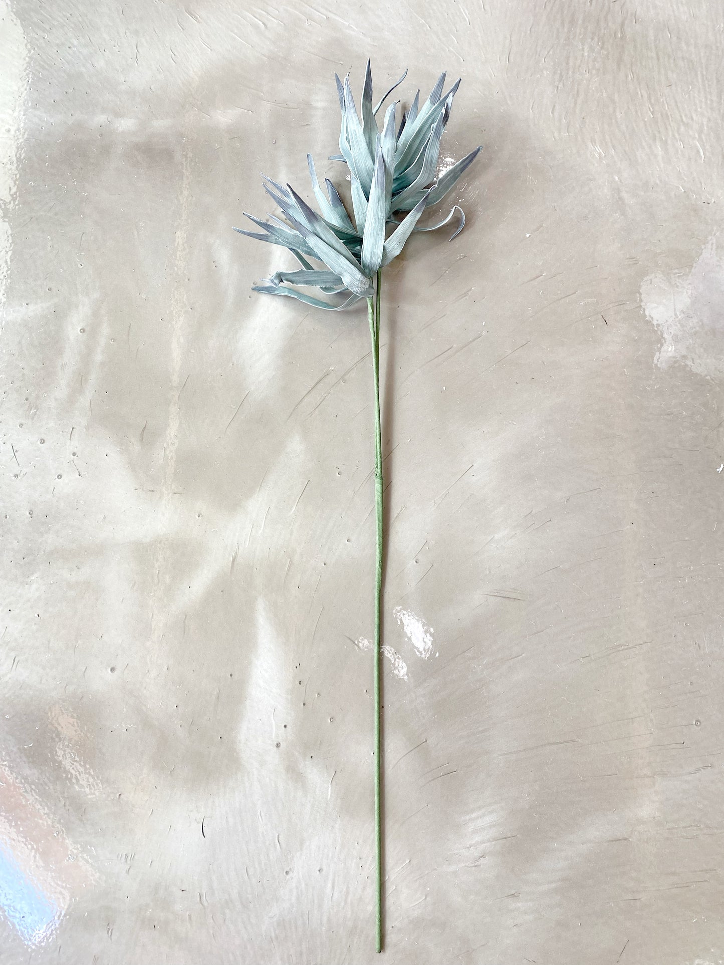 Foam Double Fan Palm