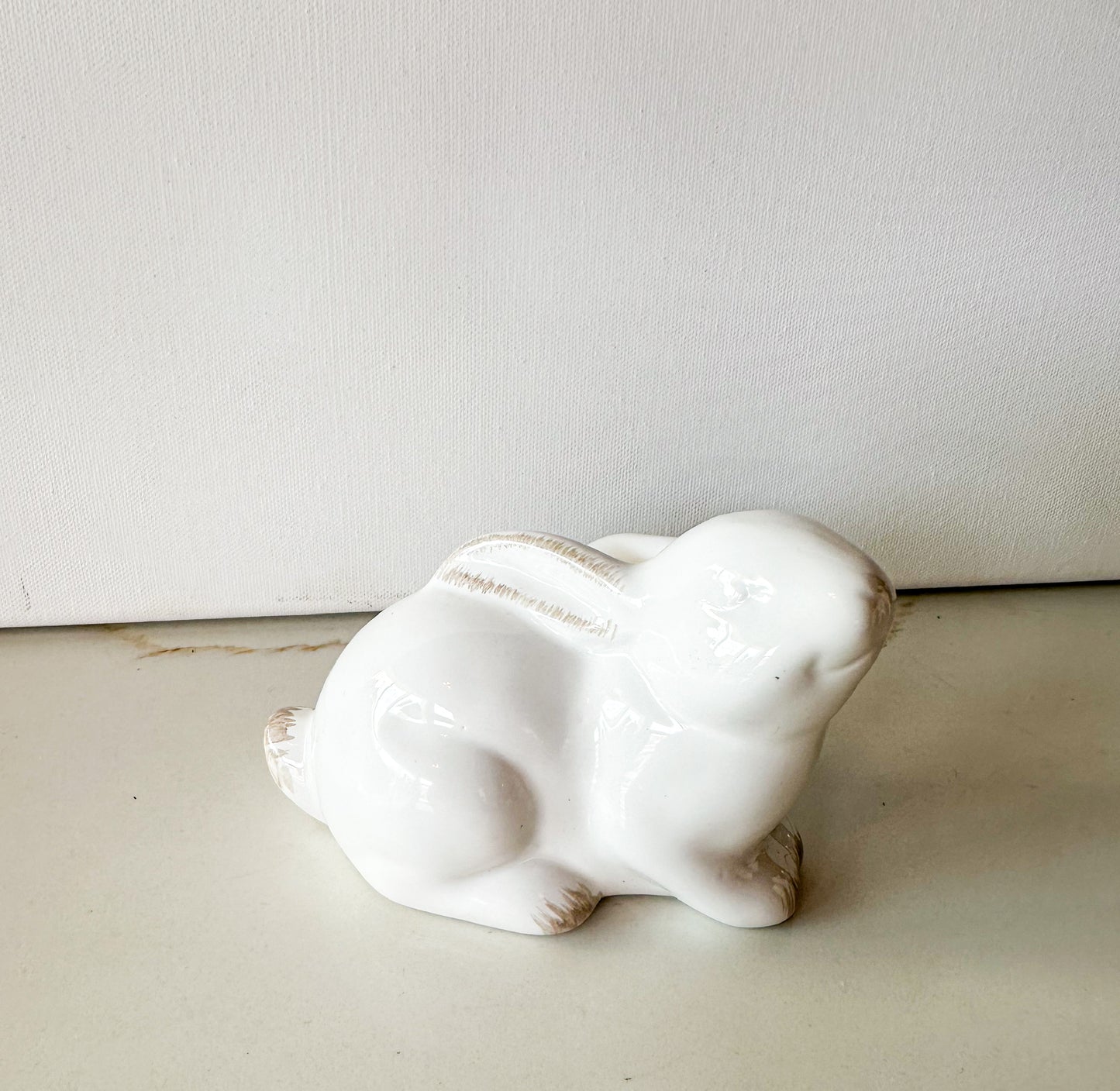 Posing Bunny