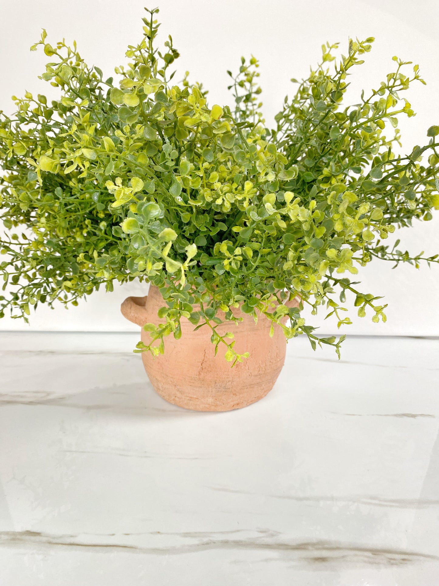 Medium Terracotta Pot