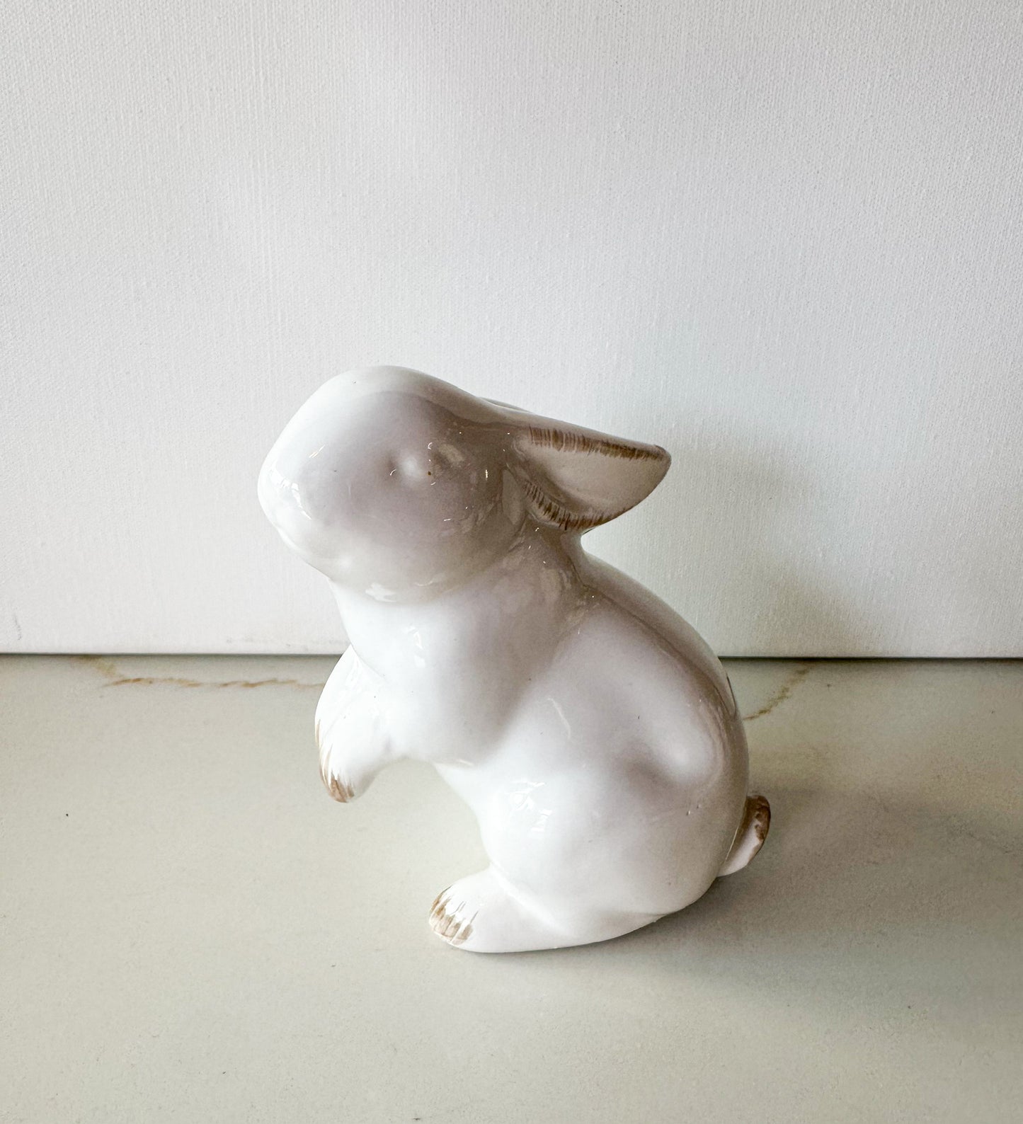 Posing Bunny