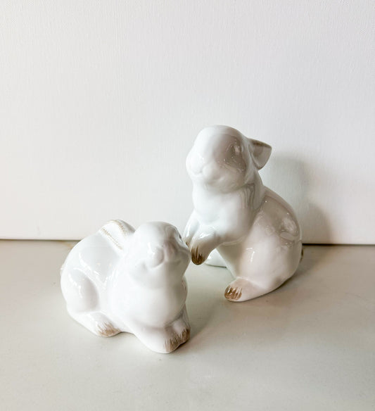 Posing Bunny