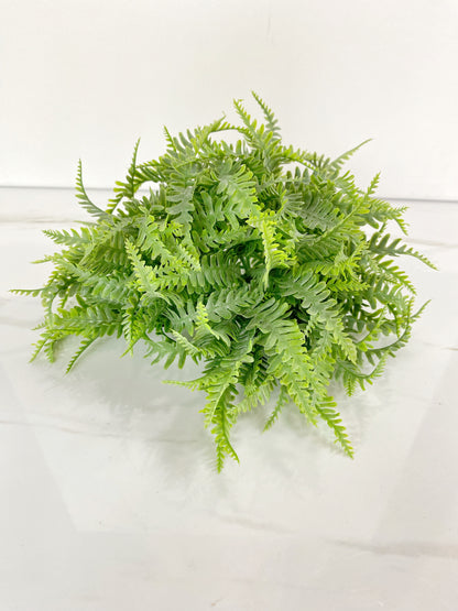 Fern Orb