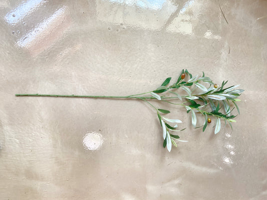 Olive Leaf Stems