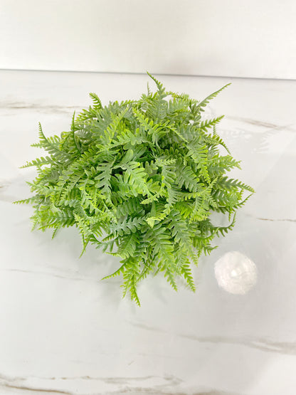 Fern Orb