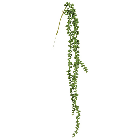 String of Pearls