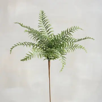 Marsh Fern Pick